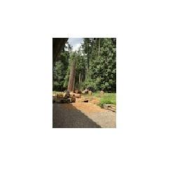Image of Bear Creek Tree Service