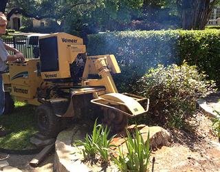 Image of Texas Elite Tree Service