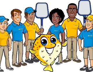 Image of Puddle Pool Services