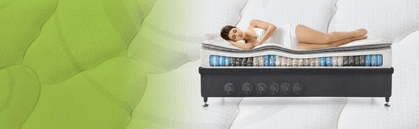 Image of Mattress Store Northland - Beds For Backs