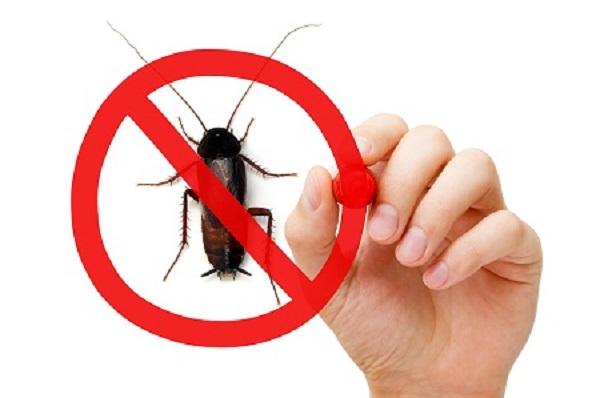 Image de Pest Control Markham Exterminator
