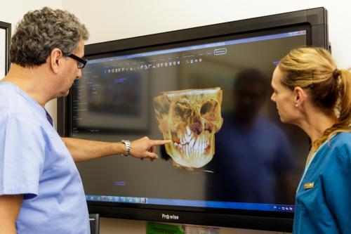 Image of The Orthodontists