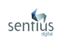 Image of SEO Website Company Melbourne - Sentius Digital