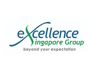 Excellence Singapore Group的图像