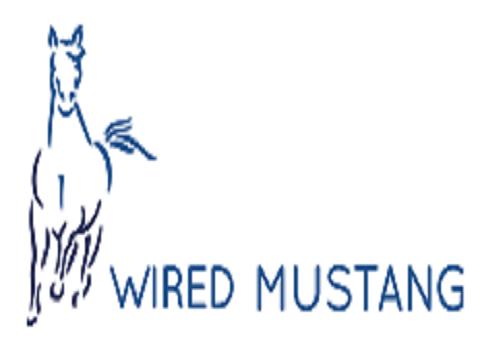 Image of Wired Mustang Inc