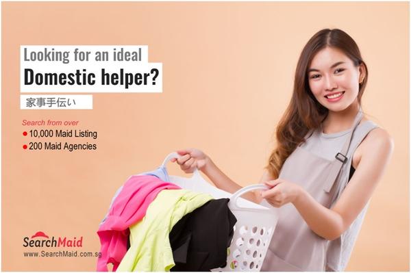 SearchMaid SG的图像
