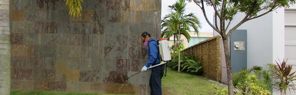 Powerful Pest Control Services For Your Home or Business
