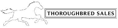 Image of Thoroughbred Sales