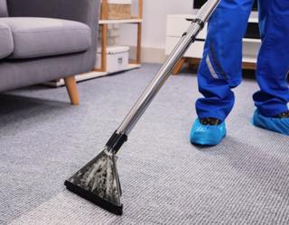 Image of Magic Carpet Cleaning Company