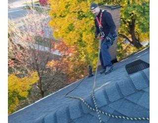 Image of Kia Pest Control & WildLife Removal