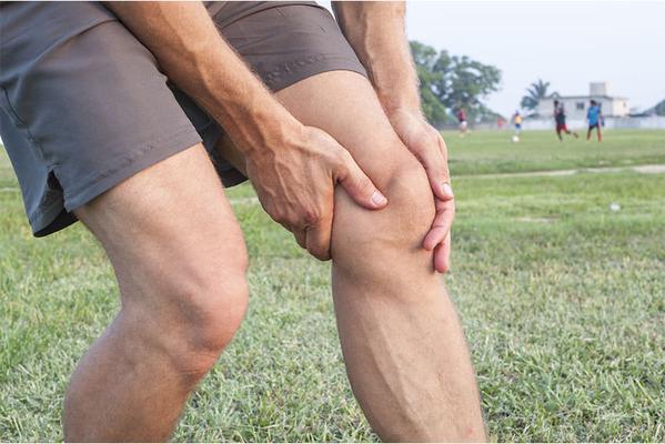 Physiotherapy services