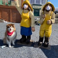Image de Sunnyview Animal Care
