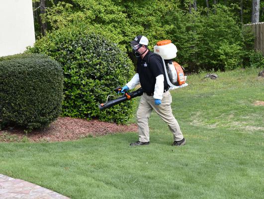 Expert Pest Control You Can Rely On