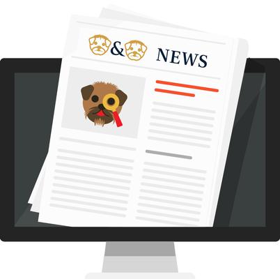 Public relations services