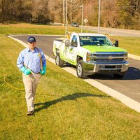 Image of The Green Team
