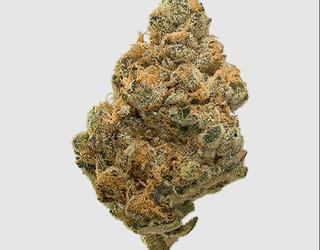 Image de Cannabis Pro