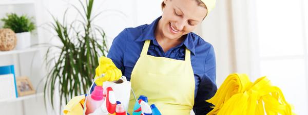 Image of Domestic Cleaners Fulham