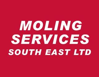 Moling Services South East