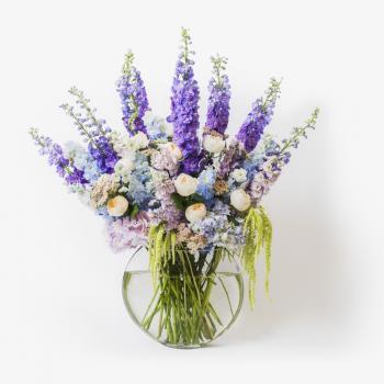 Image of Moyses Stevens Flowers