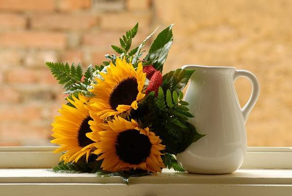 Image de Lovebird Flowers