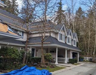 Image of Paragon Roofing BC