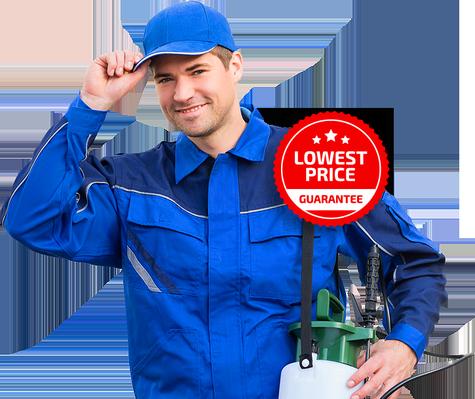Image of Rapid Building Inspections Sydney
