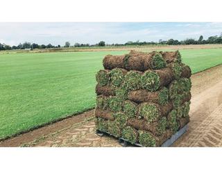 Image of Rivers Edge Turf Pty Ltd