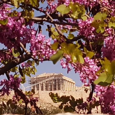 www.athenstaxiwagon.com #privatetours #privatetransfer 