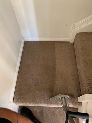 Image of Austech Carpet Cleaning Brisbane