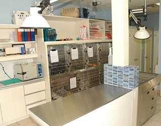 Image de Front Street Animal Hospital