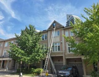 Image of SUDS Window and Eaves Cleaning