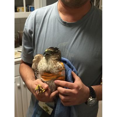 Image of Long Island Bird & Exotics Veterinary Clinic