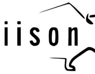 Image of Biison