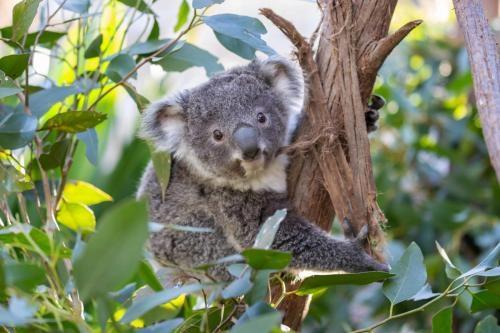 Image de Downunder Travel