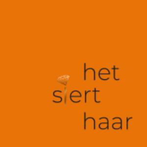 Afbeelding van Het Siert Haar