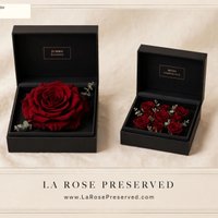 Imagem de Rosas Preservadas Ecuador La Rose Preserved