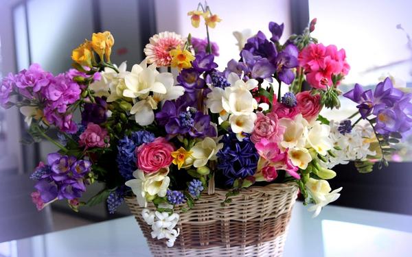 Image of Mr Florist Wimbledon