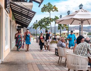 Imagen de Marina Flamingo