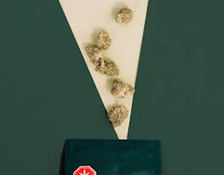 Image of True North Cannabis Co - Chatham Dispensary