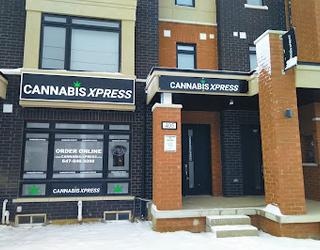 Image of CANNABIS XPRESS