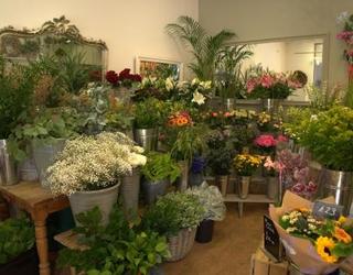 Image of Floral Gallery