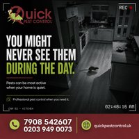 Quick Pest Control photo