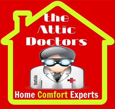 Image of The Attic Doctors