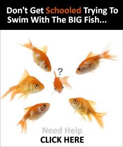 Image de Fresh Traffic Group