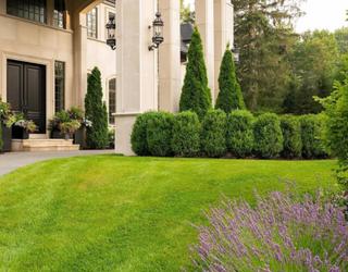 Image of AMR Landscape Associates