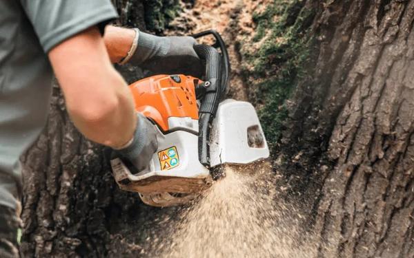 Image of Top Notch Tree Service of Westfield