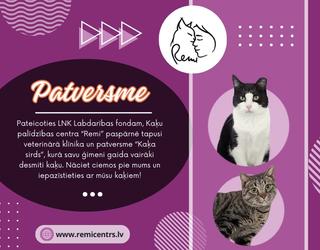 Patversme Kaķu