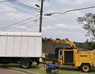 Image of Ace Tree Care