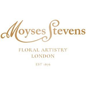 Image of Moyses Stevens