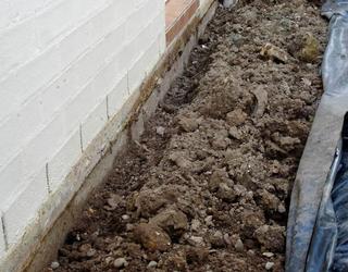 Image of Forensic Pest Management Services